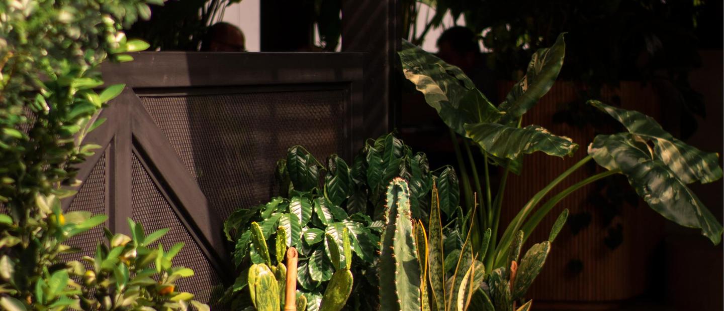 The Up Garden Rooftop The Up Garden Rooftop